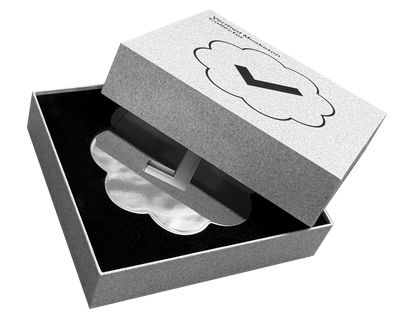 Silver Musketon Verified Badge resting in its presentation box with the lid partly open